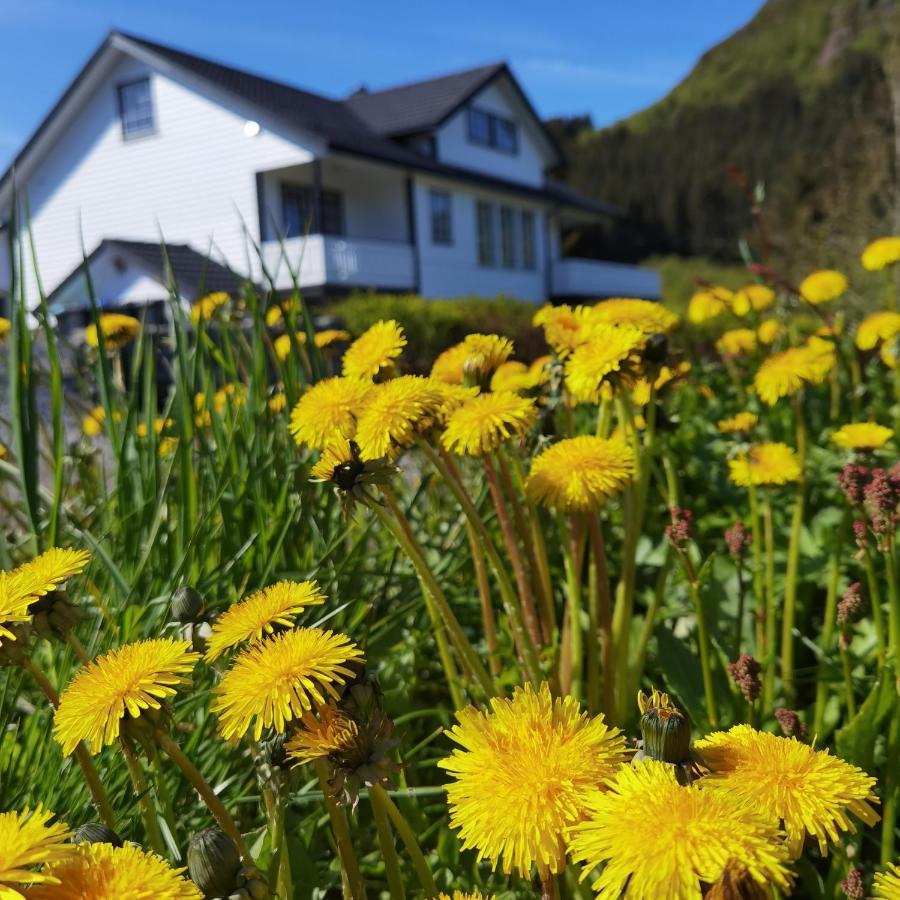 Banpim Hillside Lofoten With Jacusszi Gravdal  Exteriér fotografie